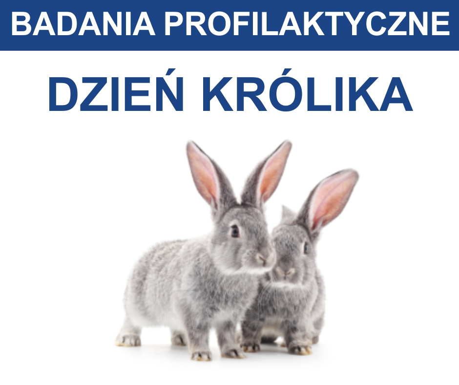 dzień królika - badania profilaktyczne